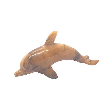 GelberJaspis Delphin